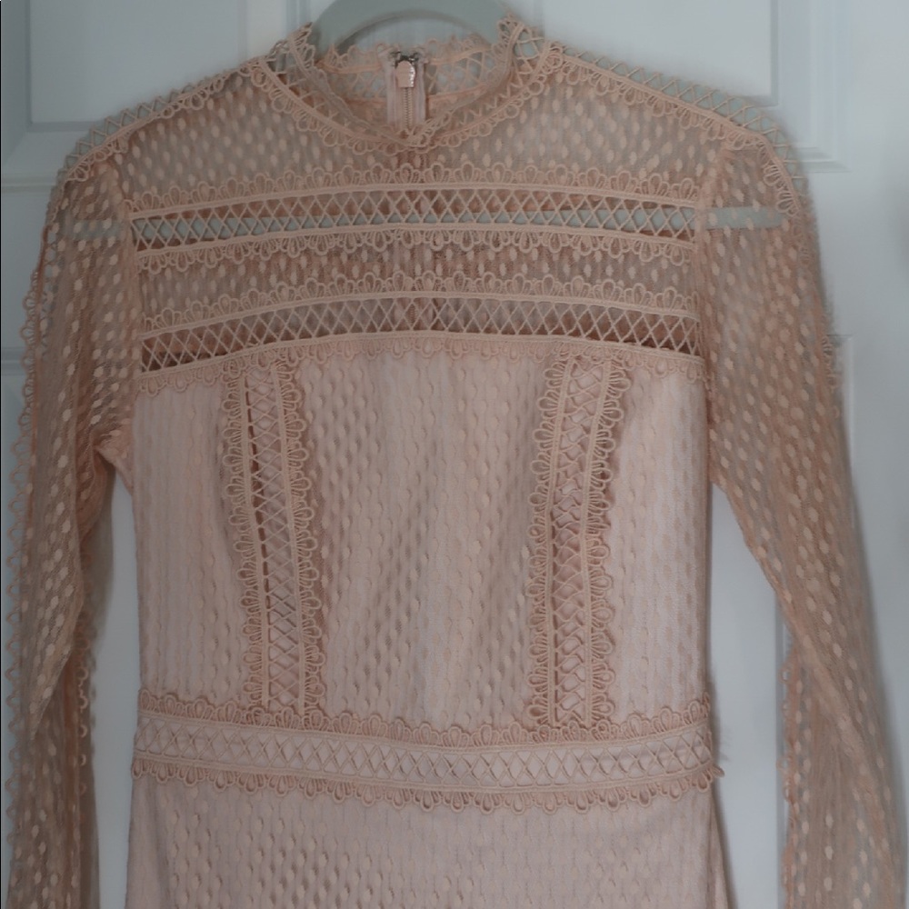 Bebe Size 6 Knit Dress NWOT